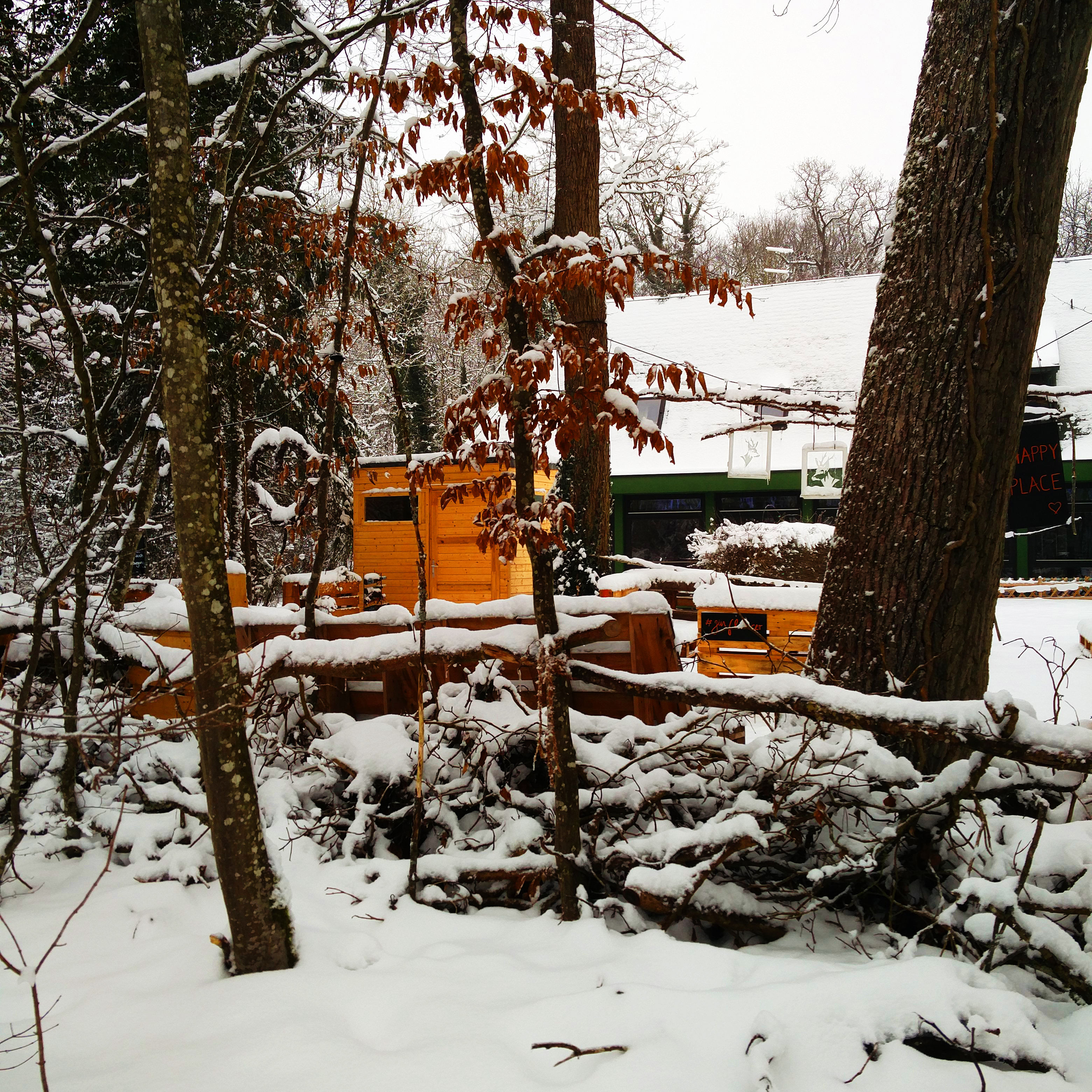 bild1