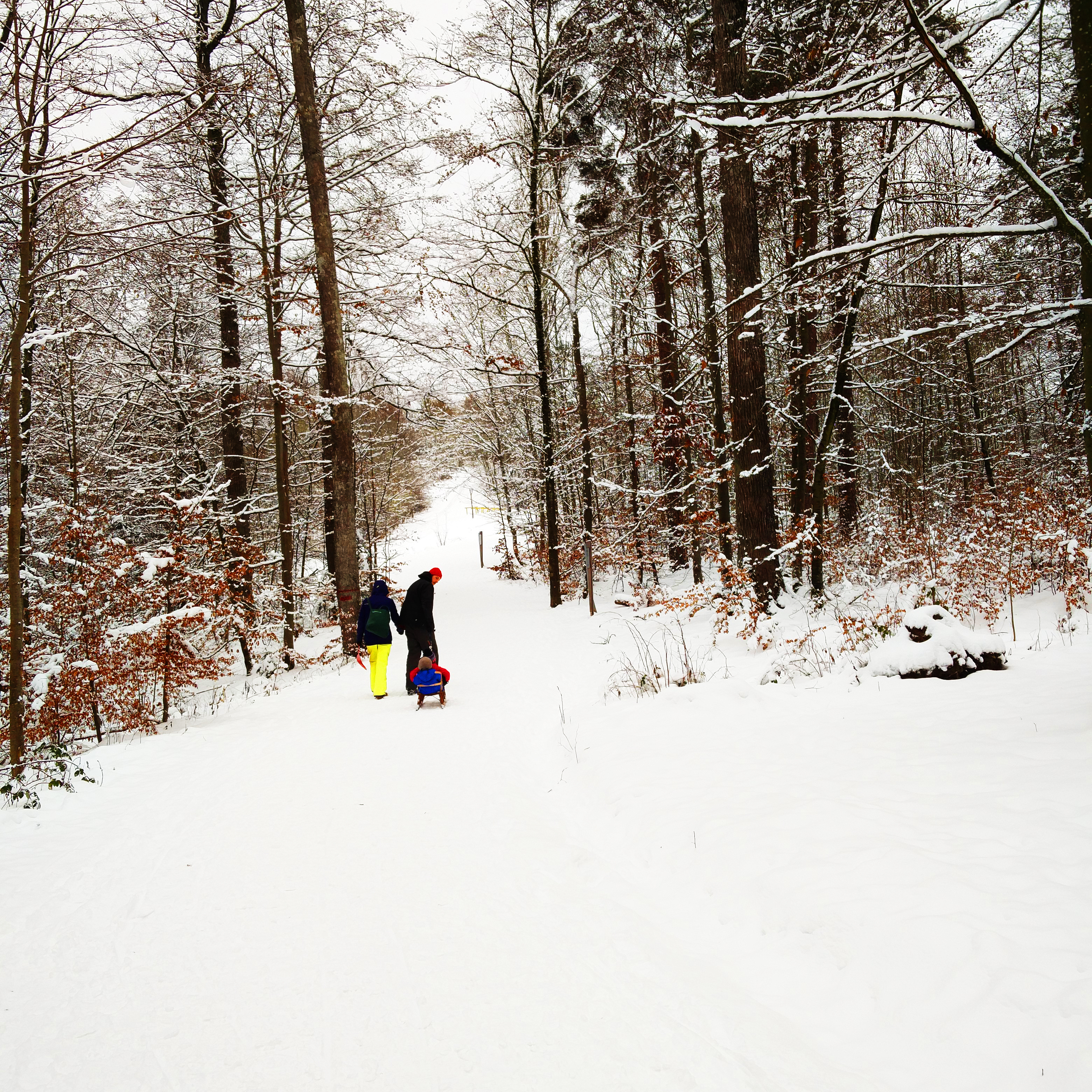 bild11