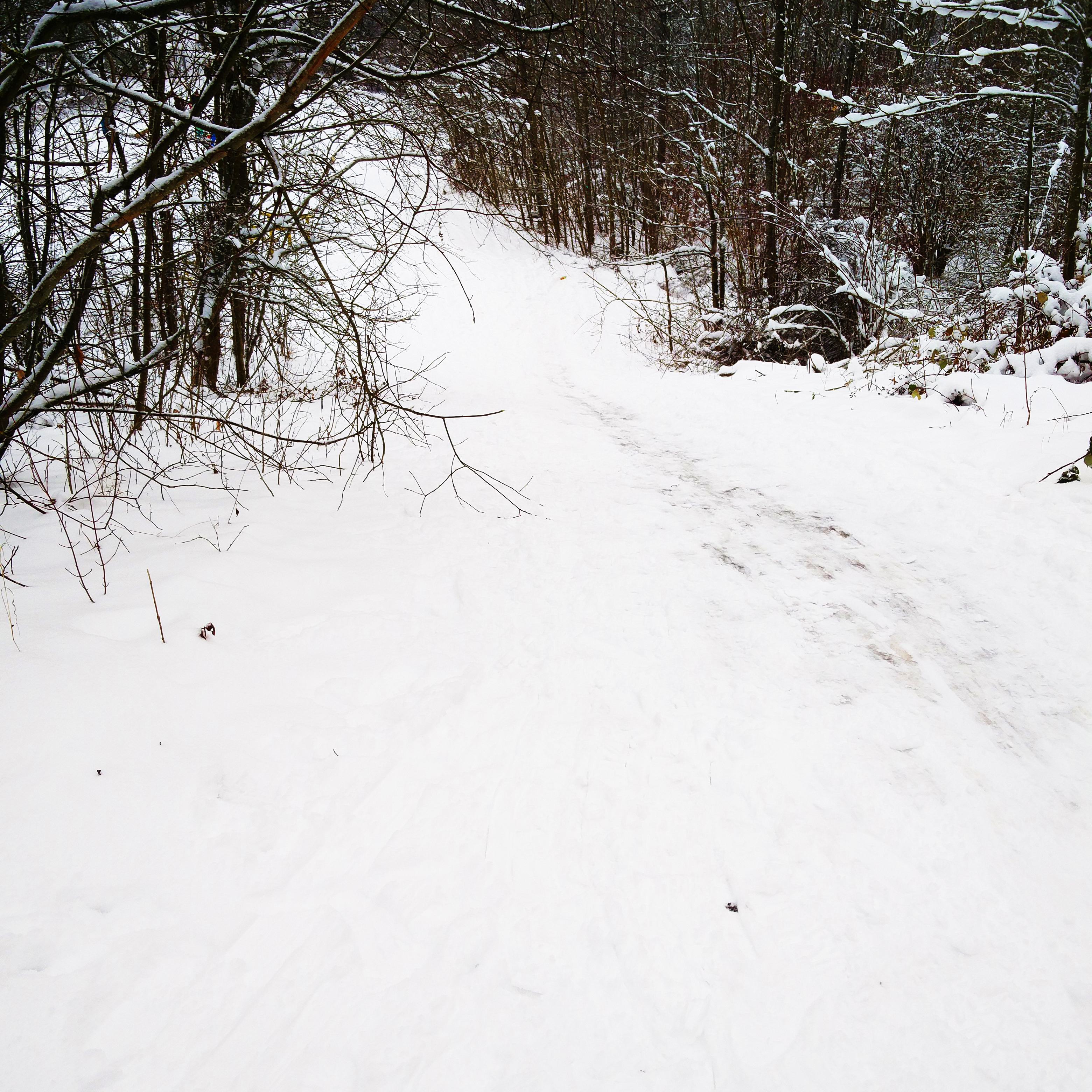 bild12