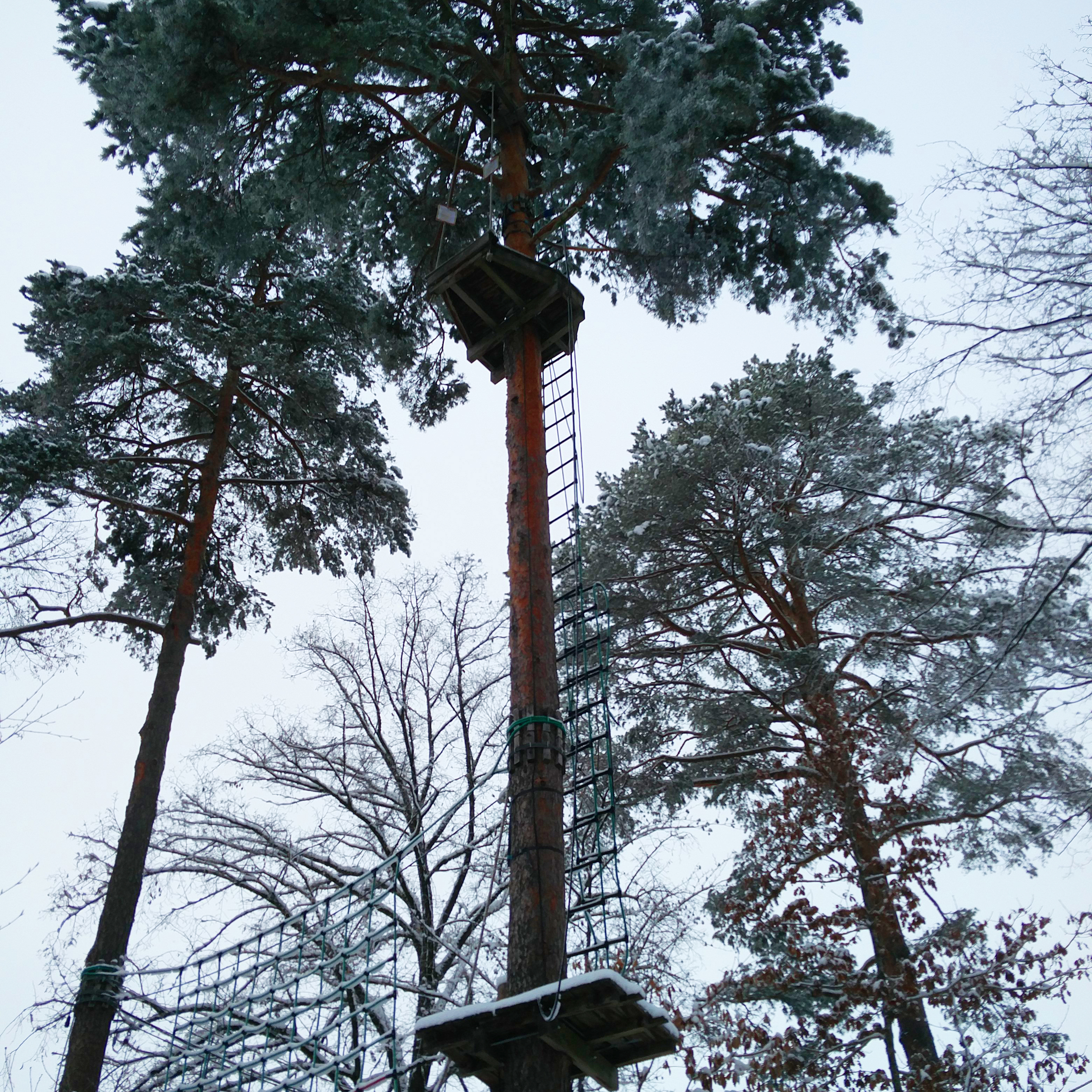 bild5