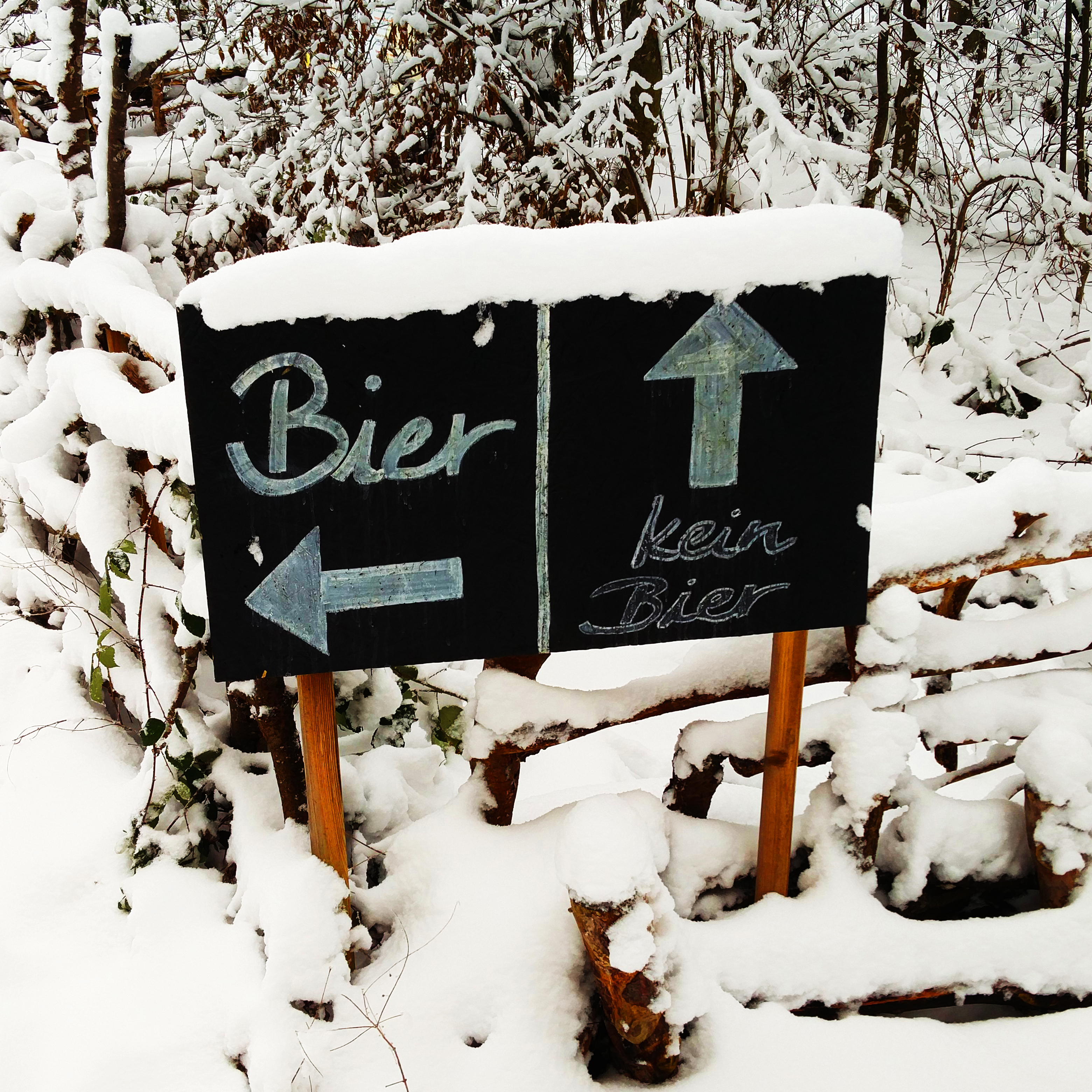 bild7