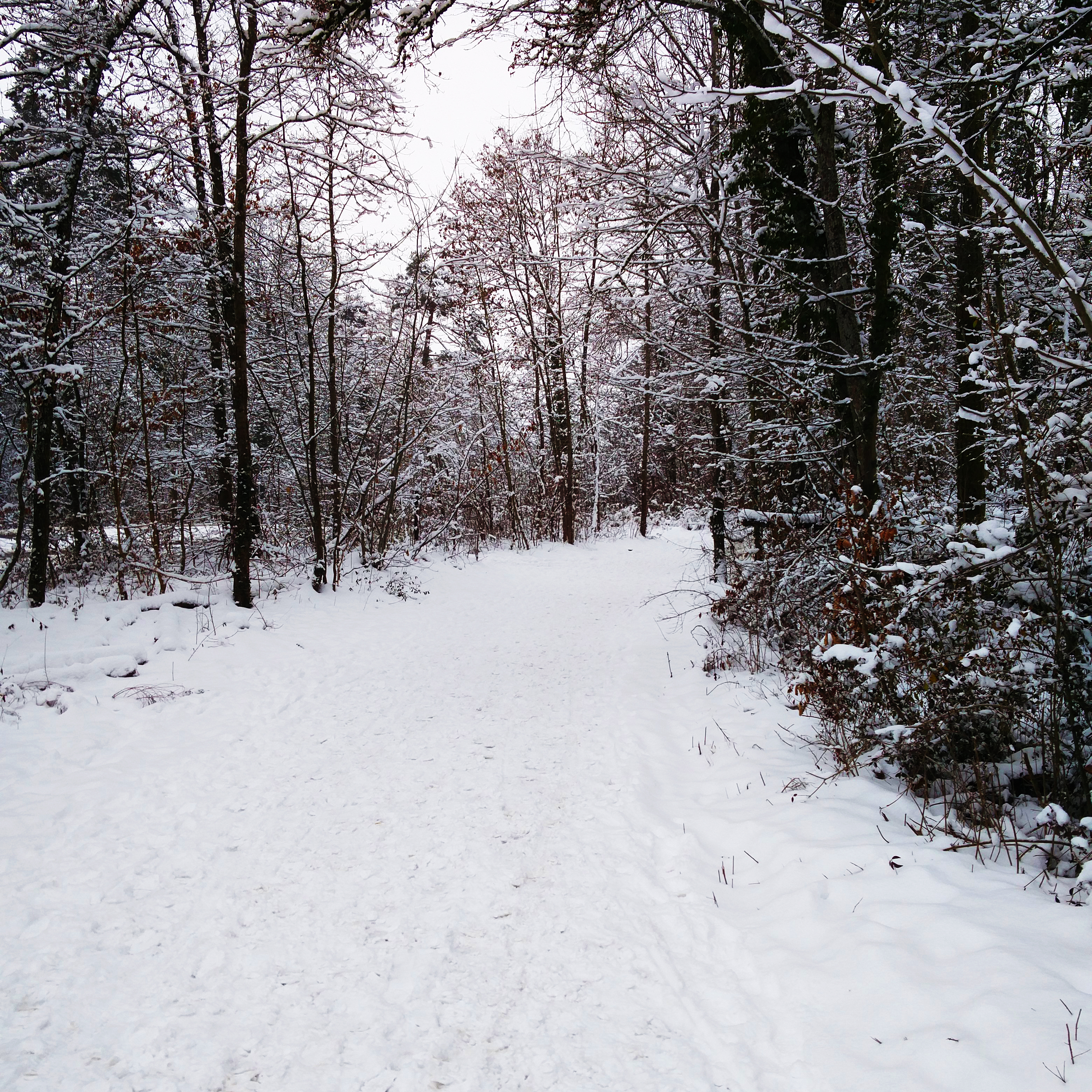 bild9